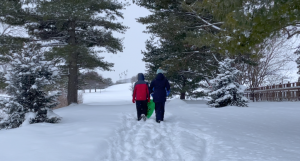 A boy and a girl walking forward in the snow with sleds. 